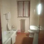 Ginepro 2*